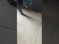 DLX 의료용 플래티넘-이리디움 모세혈관